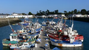 A marina with multiple boats docked, a wooden walkway leading to the water, and buildings in the background. - HOUSE LOCTUDY Pays Bigouden, 3 bedrooms, Beach 600m, Expo South. Bikes. Wifi (Loctudy)