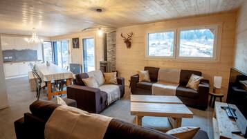 TV, fireplace, video games, DVD player