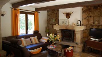 Smart-tv, een open haard, een dvd-speler en een tafeltennistafel