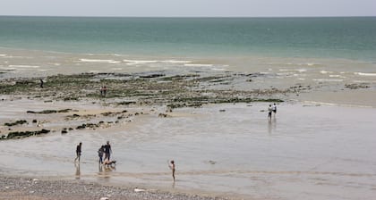 Jolie longĂšre au calme,8 personnes,proche de la Mer,parc d'attraction,jeux,zoo