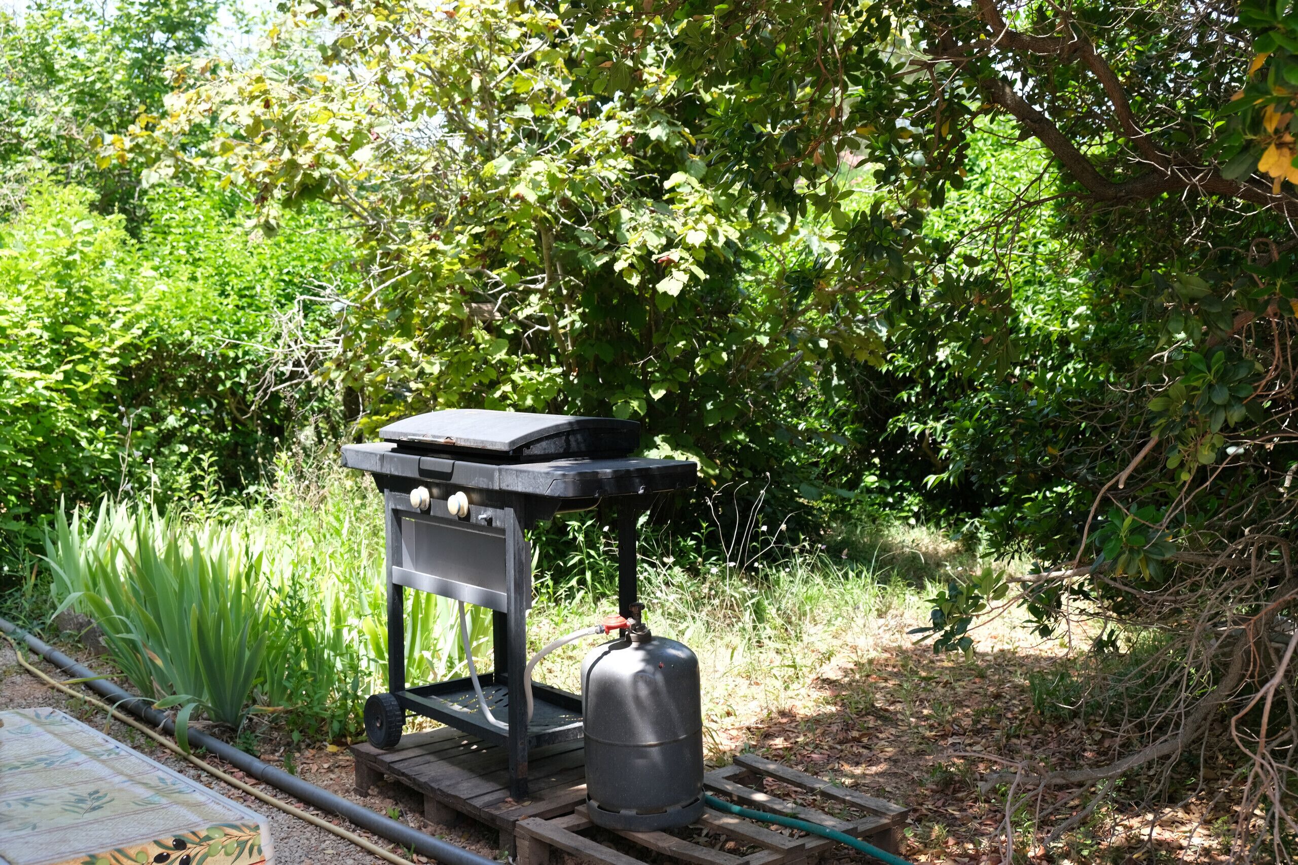 A portable gas stove with a metal container on a wooden platform, surrounded by greenery.