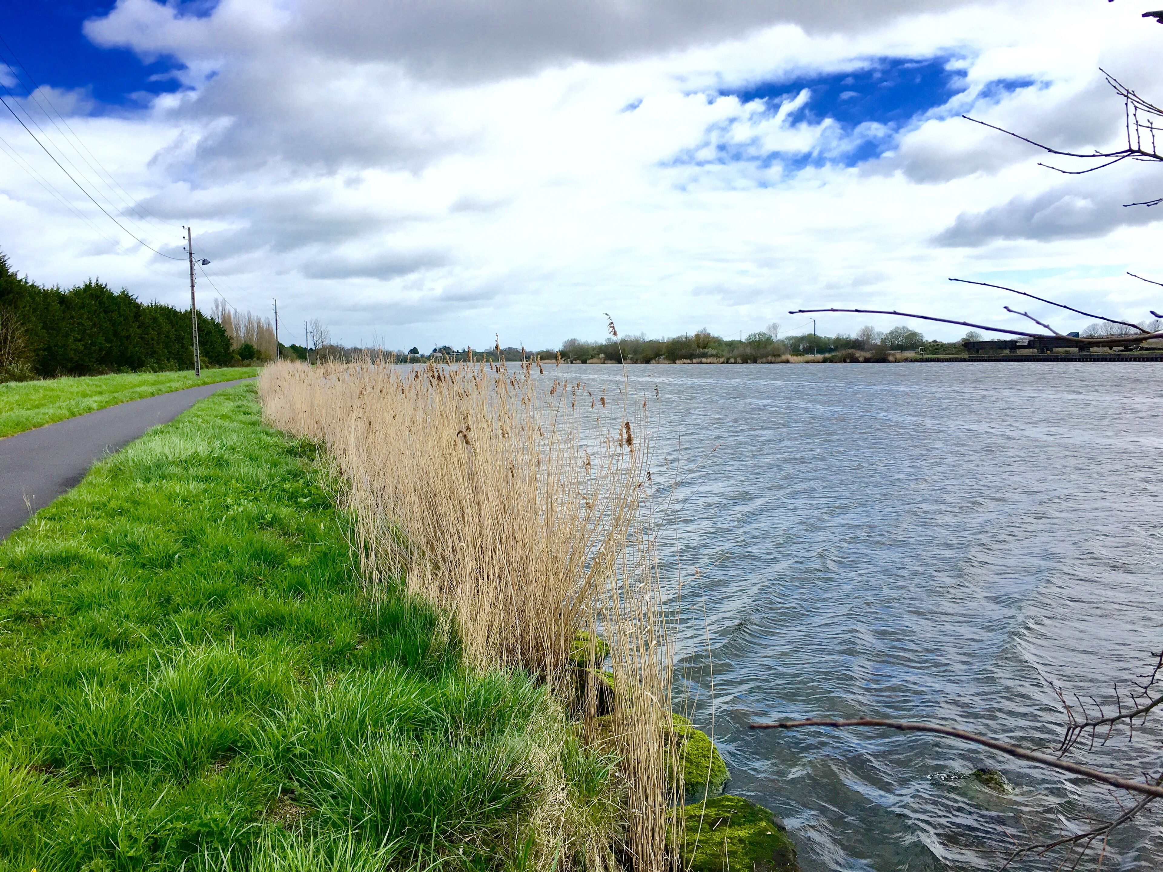 A riverside path with grassy banks and reeds.