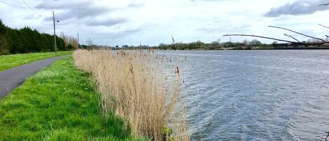 A riverside path with grassy banks and reeds.