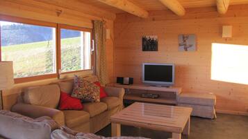 TV, DVD player, ping pong, books