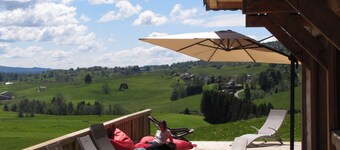 Les Eterlous" character chalet, breathtaking view of the valley.