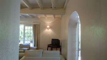 TV, fireplace, DVD player, books