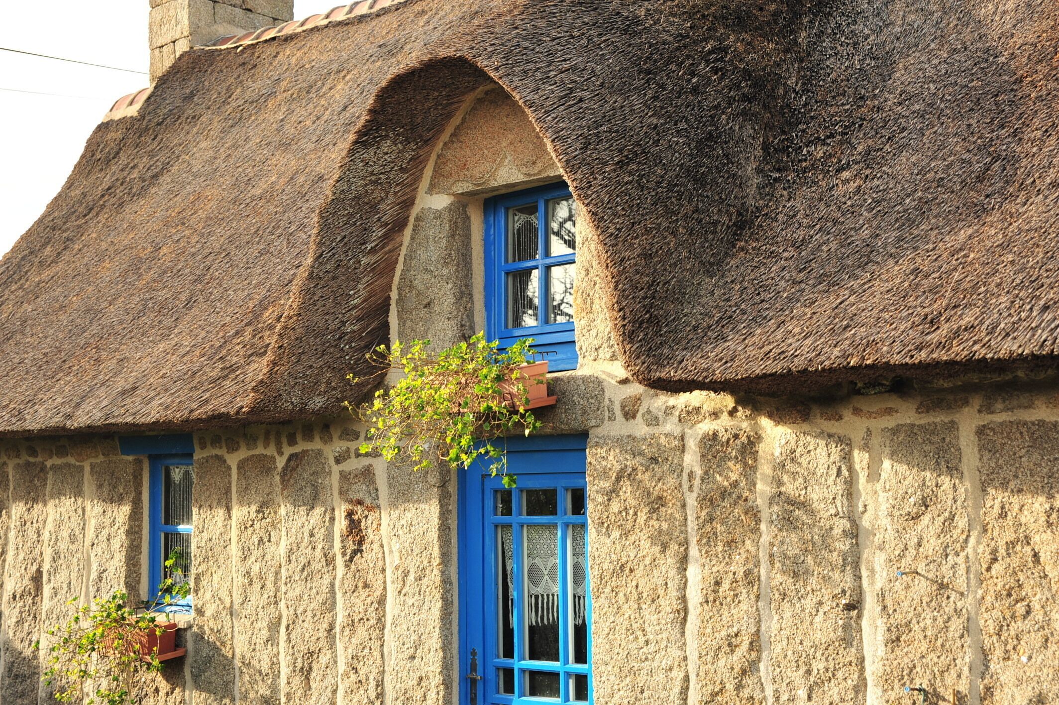 Exterior detail