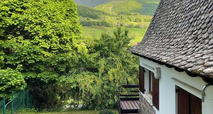 Traditional chalet 2mn from Super Lioran, ideal for your mountain vacations