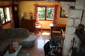 TV, caminetto, lettore DVD, libri