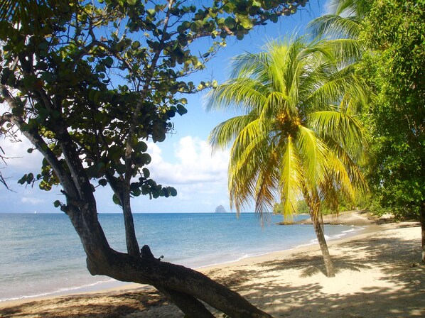 Plage à proximité, chaises longues