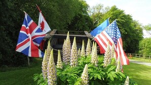 Een tuin met lupinen en twee vlaggen, een Canadese en een Amerikaanse, op de achtergrond.