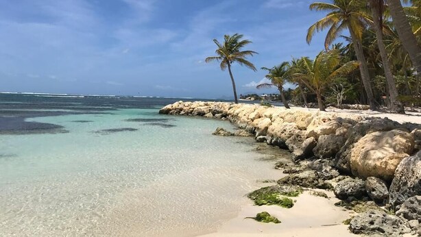 A beach with clear turquoise water, white sand, and palm trees. - Large family home with private beach  (Sainte Anne)