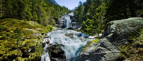 A waterfall in a forested area with a metal railing in the foreground.