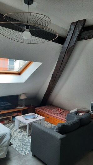 TV, stereo - rent studio center of the village 2 people (Cauterets)