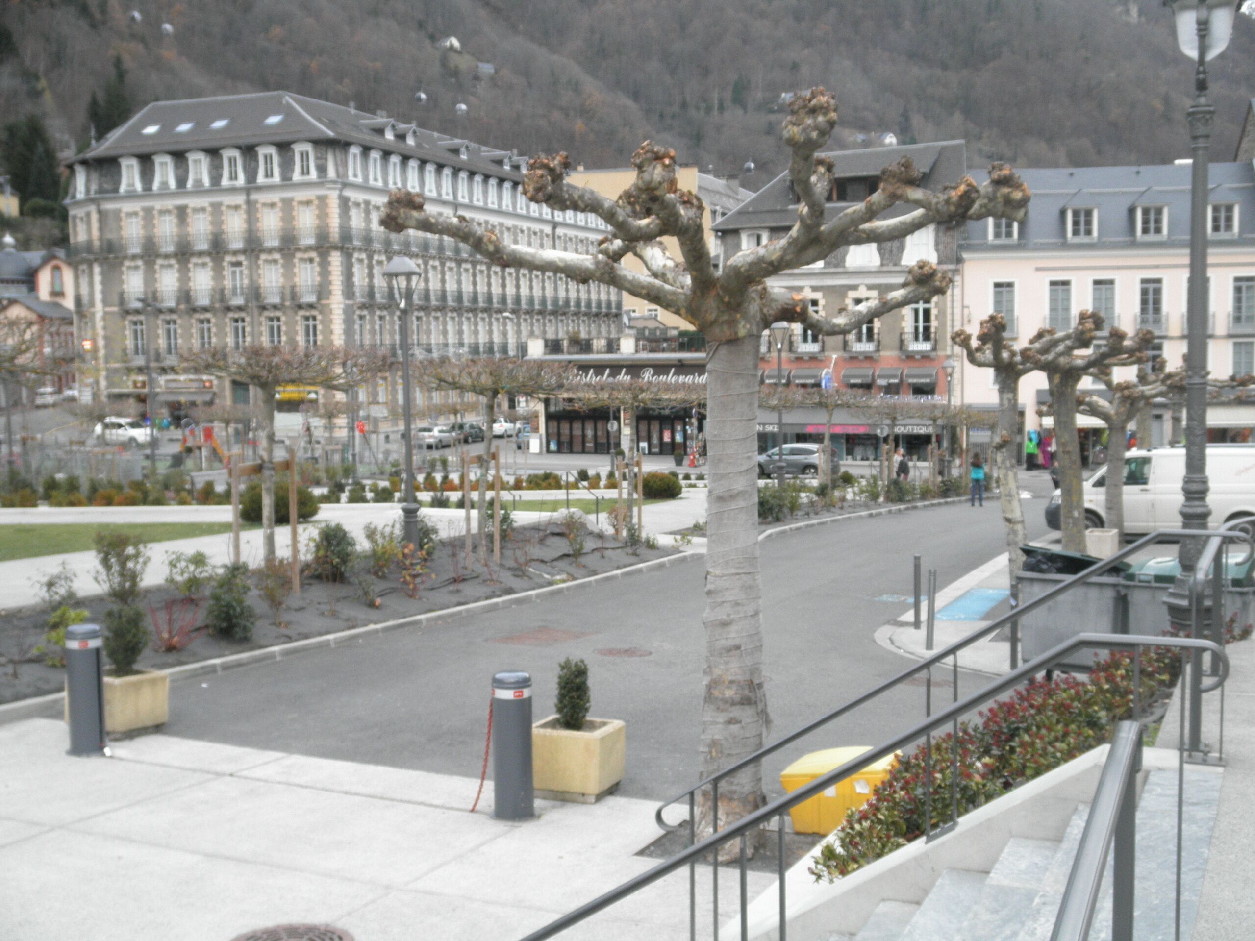 A public square with a large tree, a building with a sign reading "Hotel de la Rue," and a street with cars and pedestrians.