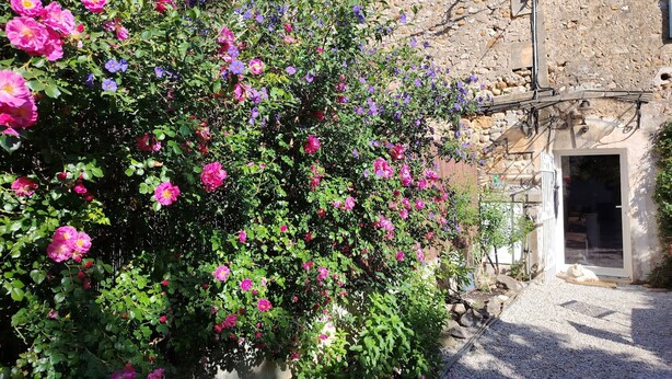 A building with a stone facade, a gravel pathway, and a bush with pink and purple flowers.