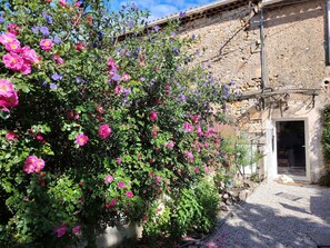 A building with a stone facade, a gravel pathway, and a bush with pink and purple flowers. - Small farmhouse with  AC in the Alpilles, 15 mn  baux de Provence, 3mn  Mouries (Saint-Martin-De-Crau)