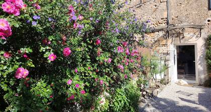 Petit mas dans les Alpilles, piscine, climatisation 20 min des Baux de Provence