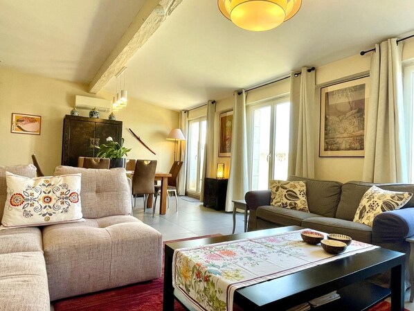 TV, DVD player, books, music library