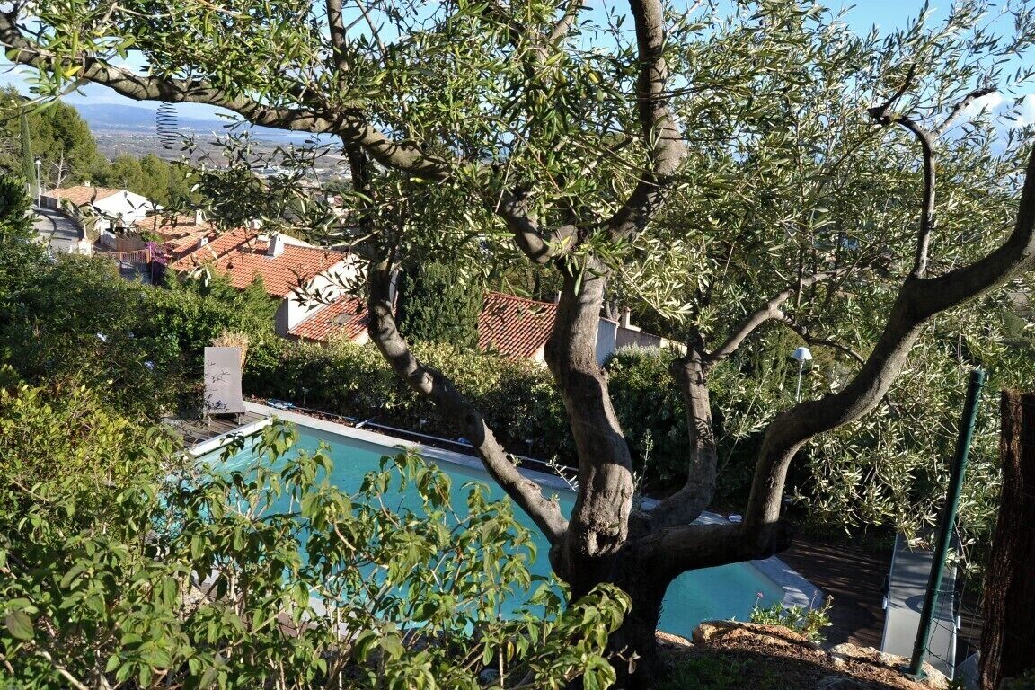 Vista con árboles, piscina, casas al fondo y cielo despejado.