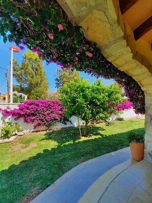 Stroll through a serene garden oasis, surrounded by vibrant flowers and a picturesque stone archway.