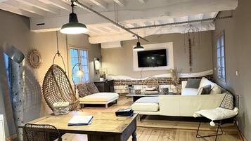 TV, fireplace, books