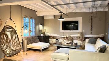 Télévision, cheminée, livres