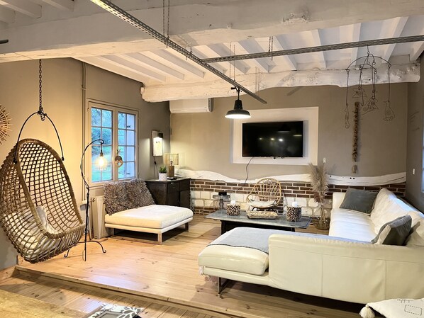 TV, fireplace, books