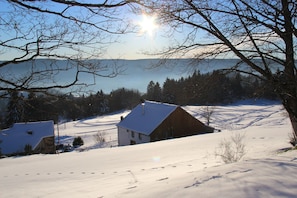 Schneebedeckte Landschaft mit einer Holzhütte und einem weißen Gebäude, umgeben von Bäumen und wolkenlosem Himmel.