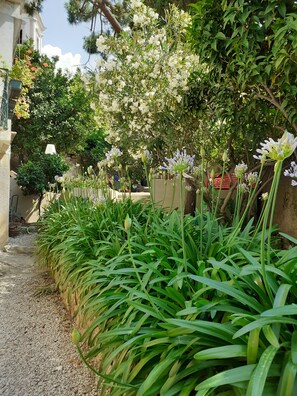 Property grounds - renovated apartment in bourgeois house (Calenzana)
