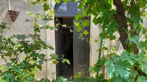 Una entrada que conduce a un interior oscuro, rodeada de follaje y un muro de piedra.