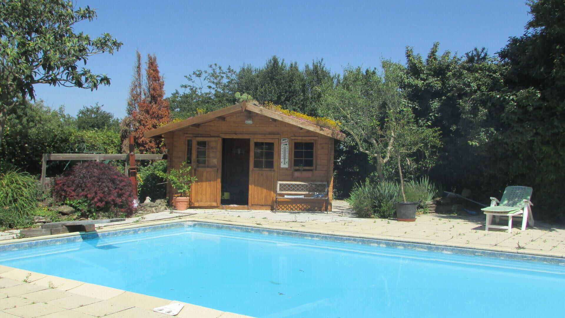Eine Holzhütte mit Pool, umgeben von üppigem Grün und Bäumen.