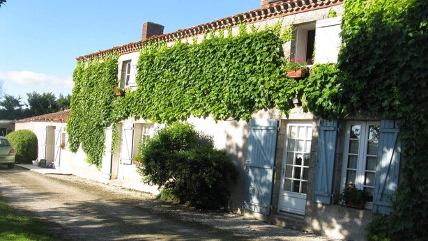 A traditional building with a white facade and red-tiled roof, partially covered by green ivy.