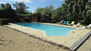 A rectangular swimming pool with a tiled deck, surrounded by a grassy area and trees.