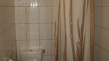 Shower, towels, toilet paper