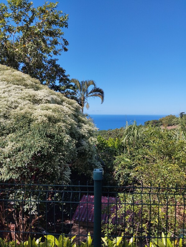 Terrain de l’hébergement 