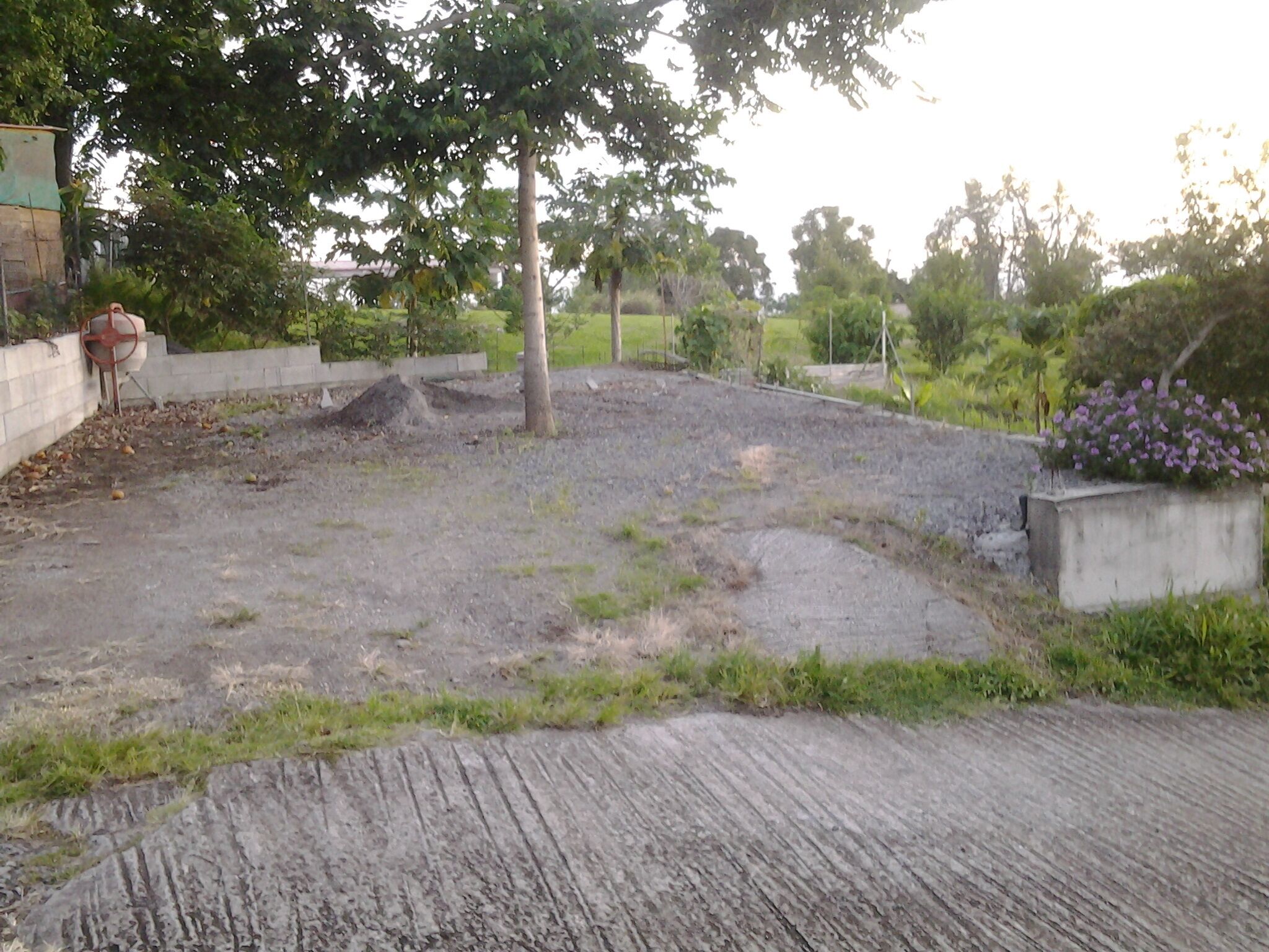 A gravel area with a concrete path, surrounded by greenery and trees.