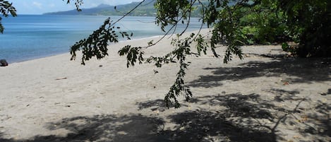 Vlak bij het strand