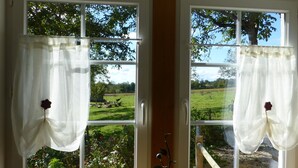 Une pièce dotée de deux grandes fenêtres, chacune ornée de rideaux blancs et d’une seule fleur suspendue à la tringle à rideaux.