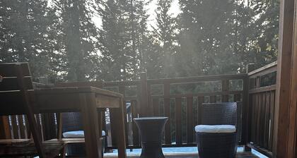 Charming individual chalet, very comfortable, located at the bottom of the ski slopes