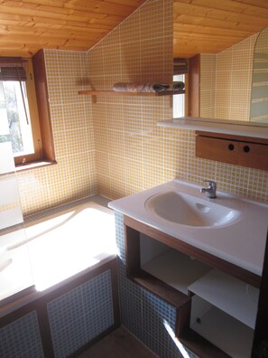 Combined shower/bathtub, hair dryer, towels, toilet paper