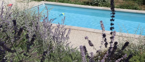 Piscine chauffée