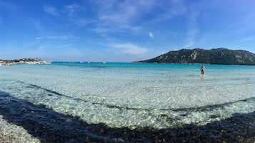 在海灘附近