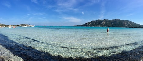 Una playa cerca