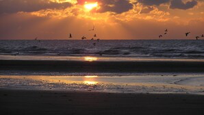 A sunset over the ocean with birds flying near the shore.