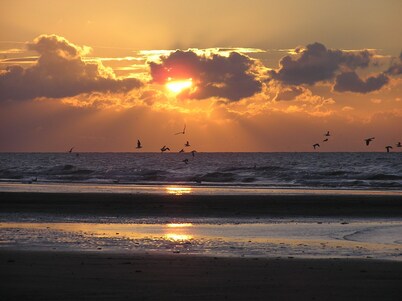 Apartment residence standing superb view Bay of Somme 