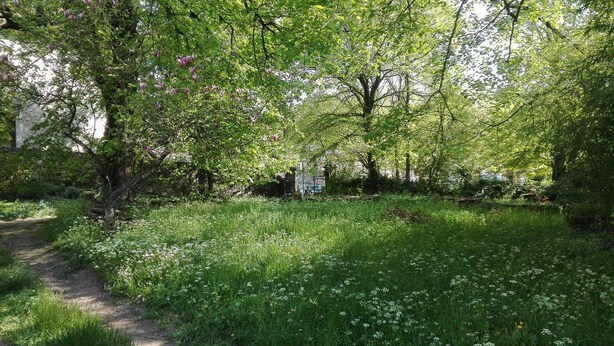 A lush garden with a variety of trees and a grassy area with white flowers. - Large family house sleeps 16 in the heart of a beautiful medieval village (Génolhac)