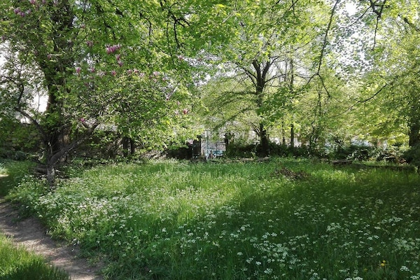 Sous les tilleuls du jardin