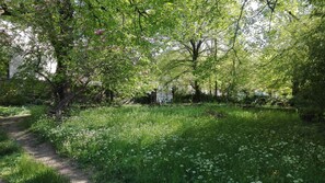 Un jardín exuberante con diversos árboles y un área verde con flores blancas.