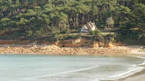 Eine Küstenlandschaft mit Strand, klarem Wasser und einem von Bäumen umgebenen Haus.